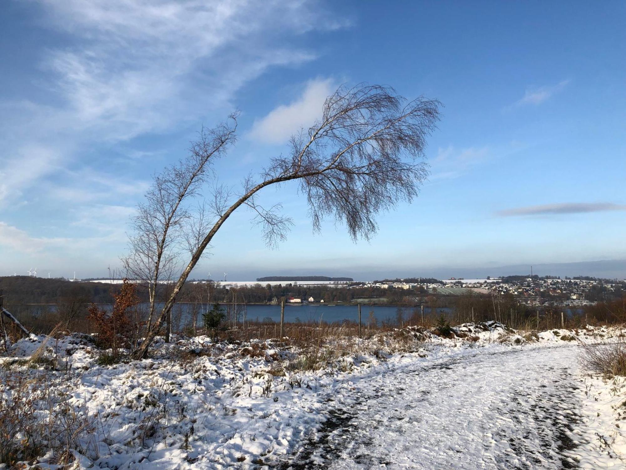 Ferienwohnung Koerbecke Am Möhnesee Esterno foto